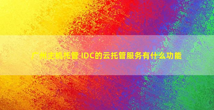 广州主机托管 IDC的云托管服务有什么功能